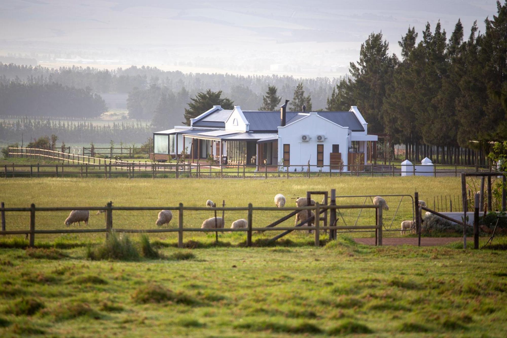 Raptor Rise Tulbagh Zewnętrze zdjęcie